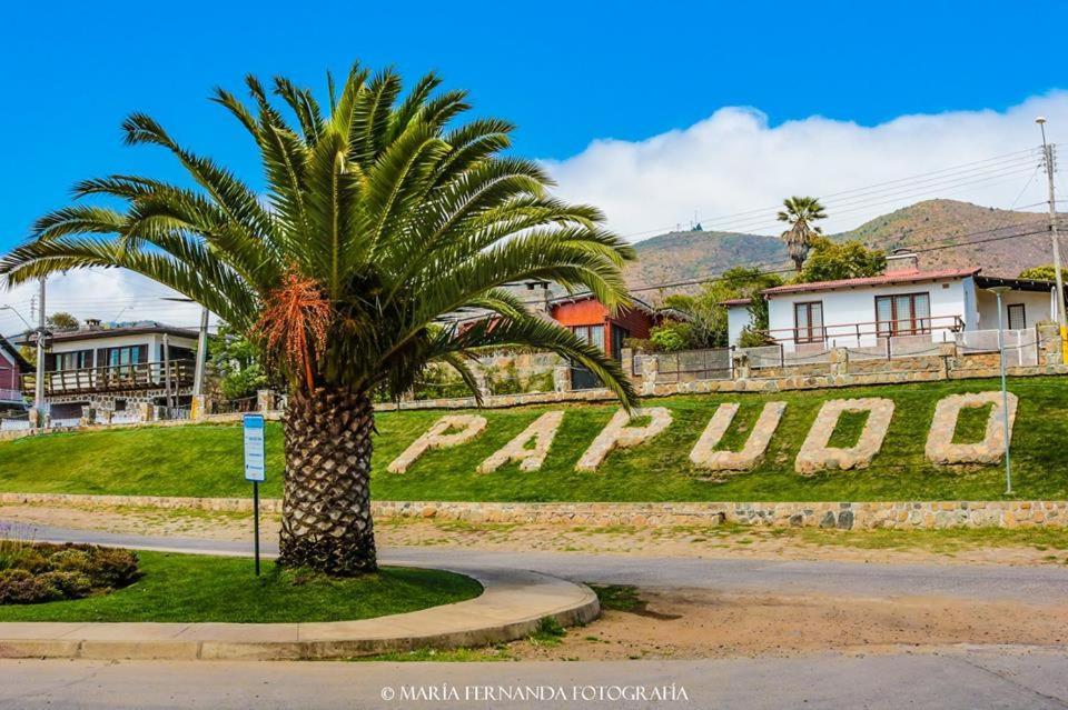 Ferienwohnung Haydee Lomas De Papudo IV Exterior foto